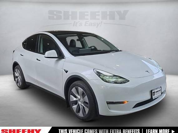 TESLA MODEL Y 2024 7SAYGDEE9RA217037 image